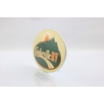 Full Color 1/16th" Plastic Name Badge Oval